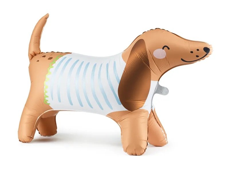 standing-mpaloni-skilaki-dachshund-23__1