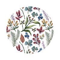 Πιάτα Γλυκού Βότανα - 8 τμχ.