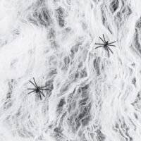 Διακοσμητικός Ιστός Αράχνης